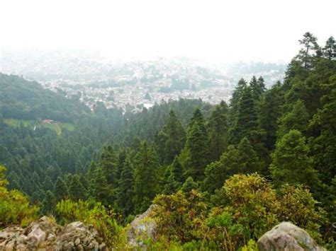 Mirador Parque Ecoturistico San Bernabe Ocotepec