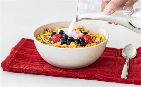 Grow Forward Premium Wheat Straw Bowls Set Of 8 Reusable 34oz Hard Plastic Cereal