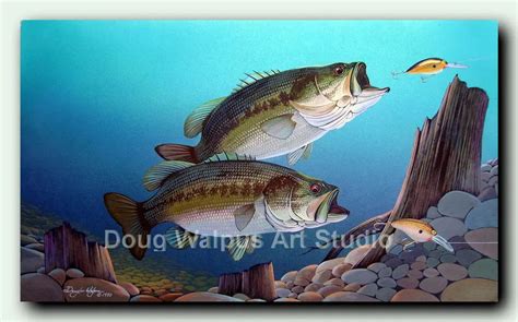 Largemouth Bass Art Prints