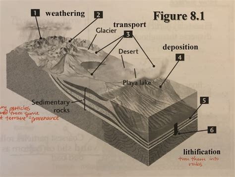 Clastic Sedimentary Rocks Flashcards Quizlet