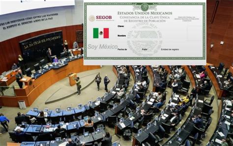 Curp Con Foto Esta Es La Fecha En Que Senado Votará Nueva Ley Para Este Documento El Informador