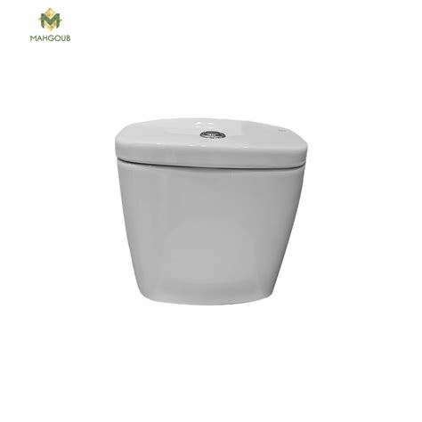 Toilet Tank Roca Victoria White Mahgoub For Ceramic And Porcelain