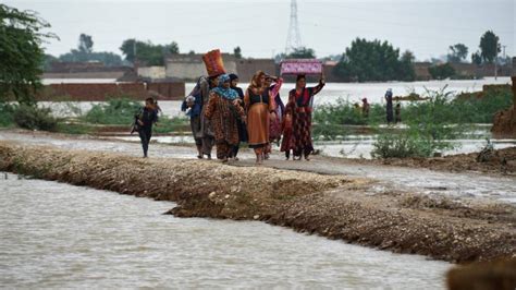 شہباز شریف کا خیبرپختونخوا کے سیلاب متاثرین کے لیے 10 ارب روپے کے ریلیف