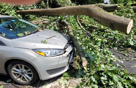 Does Homeowners Insurance Cover Tree Removal After Storms Betterscapes