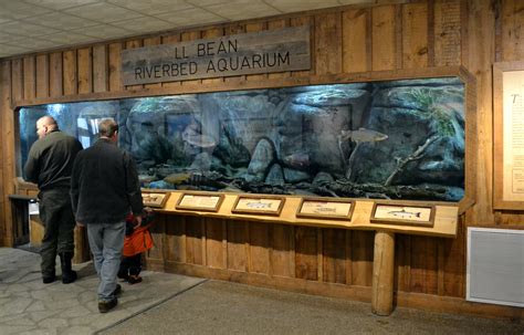 The L.L. Bean Flagship Store Experience | Freeport, Maine - New England