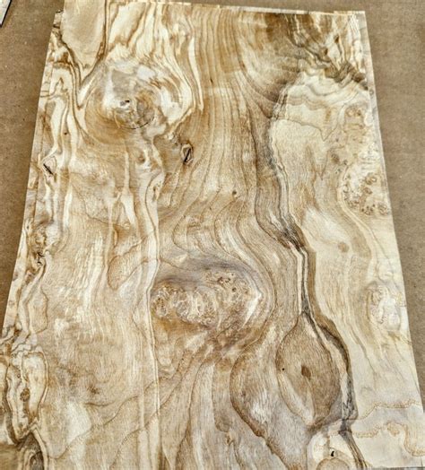 Olive Ash Burl Wood Veneer 10 X 14 Raw No Backing 1 42 Thickness AA