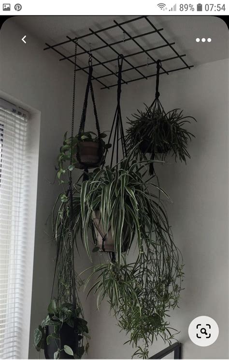 Indoor Plants Decor Ideas Window Hanging Plants Ideas Window Decor With