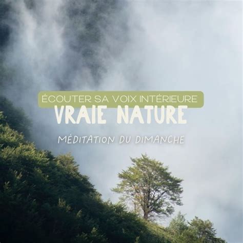 Stream Méditation Guidée pour la Découverte de Votre Véritable Nature