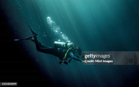 Scuba Diver Side View Photos And Premium High Res Pictures Getty Images