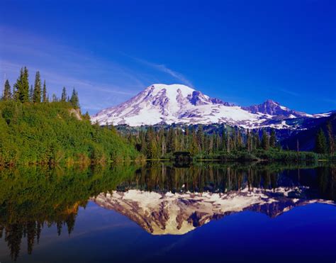 Day Trip to Mount Rainier from Seattle: Unforgettable Adventure