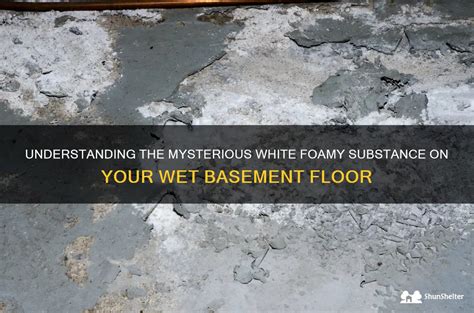 Understanding The Mysterious White Foamy Substance On Your Wet Basement