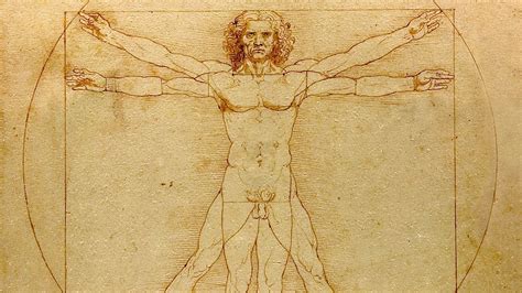 Dibujos De Leonardo Da Vinci