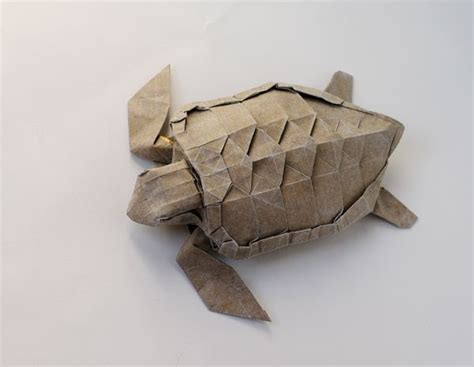 Sea Turtle Origami - Origami