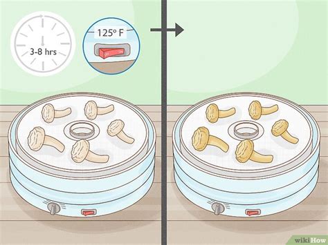 How To Make Shroom Tea A Step By Step Guide