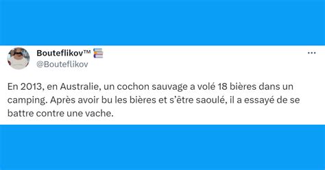 Top 20 des tweets les plus drôles sur les campings le paradis