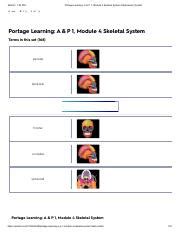 Module Skeletal System Flashcards Quizlet Pdf Pm