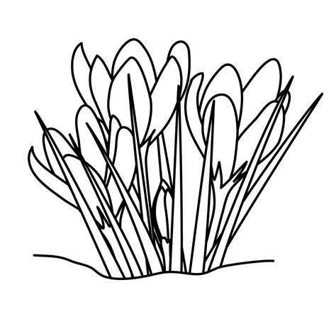 Grass Line Drawing - ClipArt Best