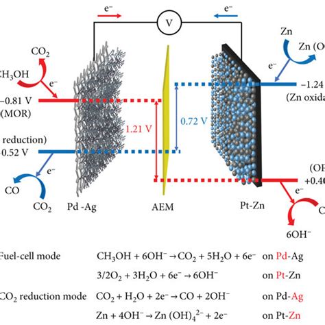 The Schematic Diagram Of The Carbon Neutralized Direct Methanol Fuel Cell Download Scientific