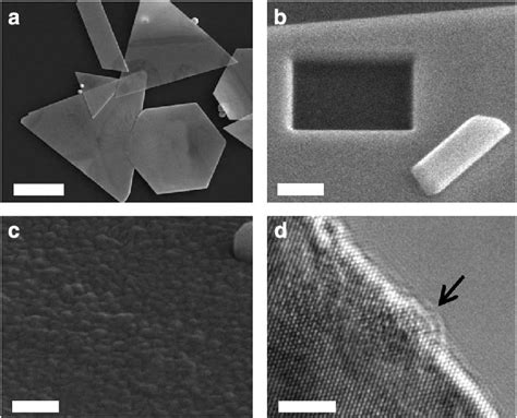 Sem And Tem Images Of Chemically Synthesized Gold Flakes And