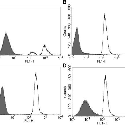 Sensitised Sheep Red Blood Cells Were Incubated With Either Human