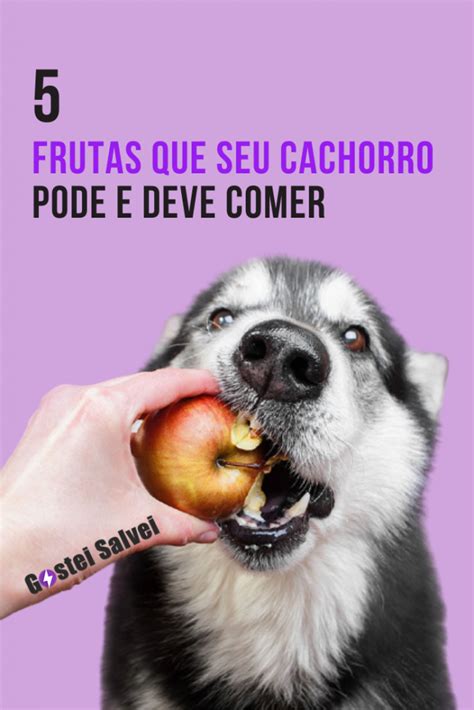 Frutas Que Seu Cachorro Pode E Deve Comer Gosteisalvei