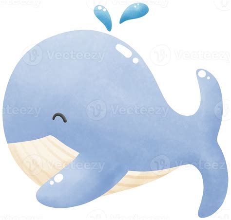 Underwater Blue Whales 43245479 Png