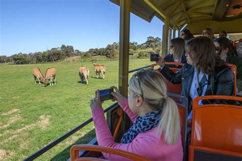 Werribee Open Range Zoo Venue Hire