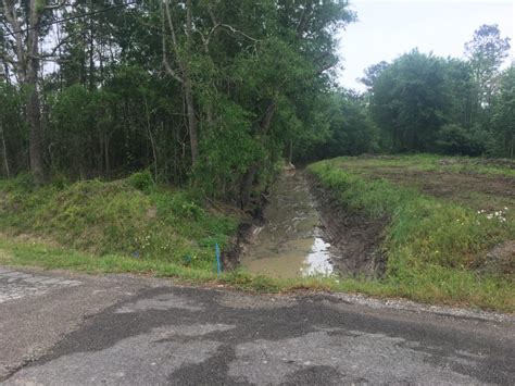 Terry Gully Project Phase 2 Orange County Drainage District