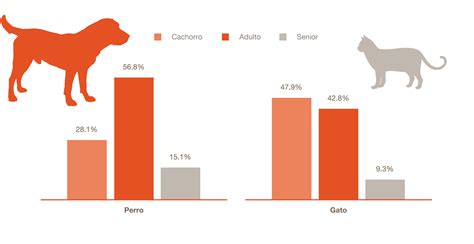 Las cifras del abandono de perros y gatos aún lejos de descender