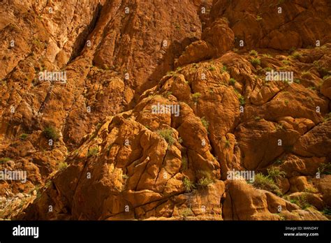 Gargantas Del Todra Alto Atlas Marruecos Africa Stock Photo Alamy