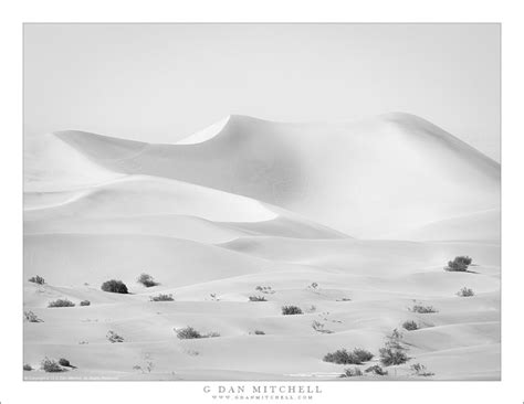 Dunes, Sandstorm | G Dan Mitchell Photography