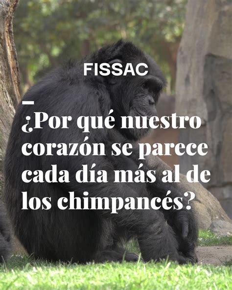 Fissac On Twitter Los Seres Humanos Somos Una Especie De Resistencia