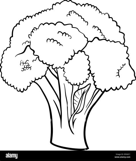 Black and White Cartoon Illustration of Broccoli Vegetable Food Object ...