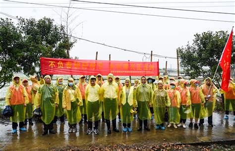 娄底市：真情服务到阡陌，倾力助耕见行动 ——娄底市畜牧水产和农机事务中心开展农机春耕生产志愿服务活动 市县动态 湖南省农机事务中心