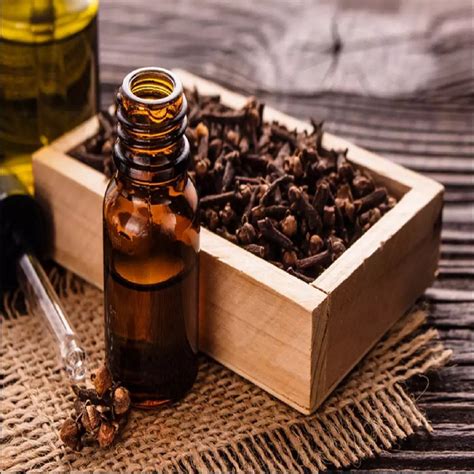 Cloves Oil Compare Discount Clc Cet Edu