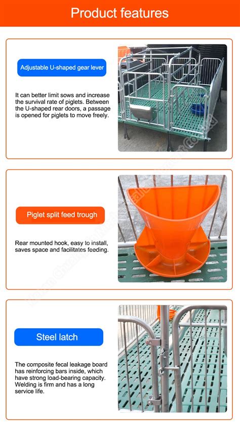 Sow Positioning Bar In Poultry Farming Equipment Product High Quality