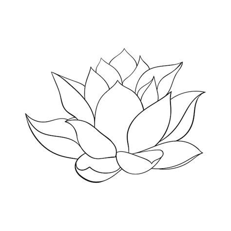 Premium Vector | Lotus flower big bud simple drawing of a lotus with ...