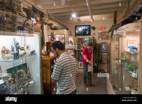 International Cryptozoology Museum Portland Maine Stock Photo Alamy