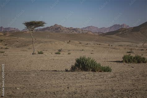 Desert in northern Saudi-Arabia Stock Photo | Adobe Stock