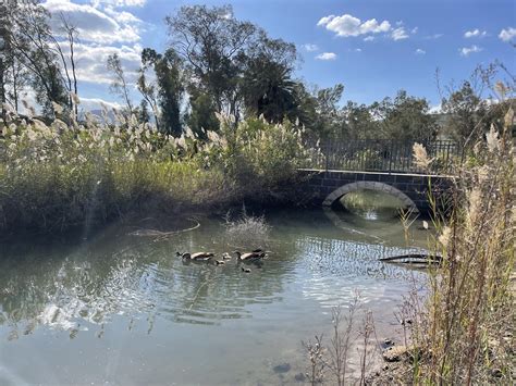 Quietly, a stretch of the Jordan River is being cleaned up and
