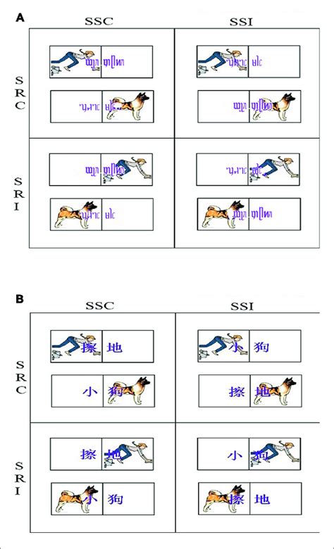 Stimulus Stimulus And Stimulus Response Compatibility Paradigm Download Scientific Diagram