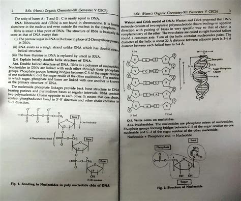 Solution Biochemistry Reference Studypool