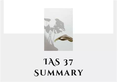 Ias 37—provisions Contingent Liabilities And Contingent Assets