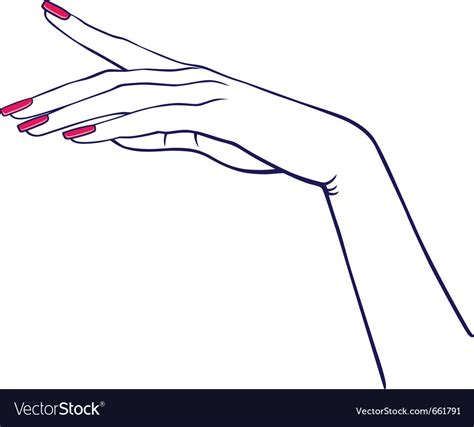 Woman Hands Collection Royalty Free Vector Image