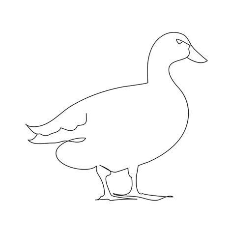 Premium Vector Continuous One Line Drawing Of Duck Outline Vector