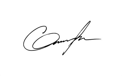 Premium Vector Handwritten Signature And Autograph For Documents