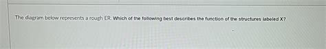 Solved The diagram below represents a rough ER. ﻿Which of | Chegg.com