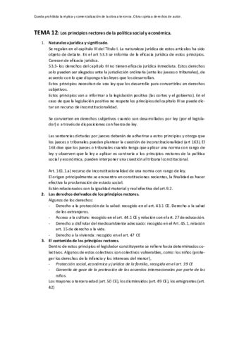 Tema 12 Los Principios Rectores De La Politica Social Y Economica Pdf