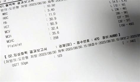 포항 쌍둥이임신 27주 임당검사 And 대학병원전원 진료의뢰서 네이버 블로그