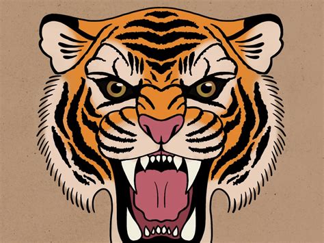 Tiger Head Drawing by Danielle Collins on Dribbble